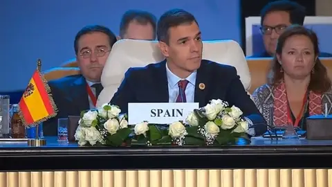 El presidente del Gobierno en funciones, Pedro Sánchez, durante la Cumbre de la Paz en El Cairo Pedro Sánchez llama a "proteger a todos los civiles" del conflicto en Gaza