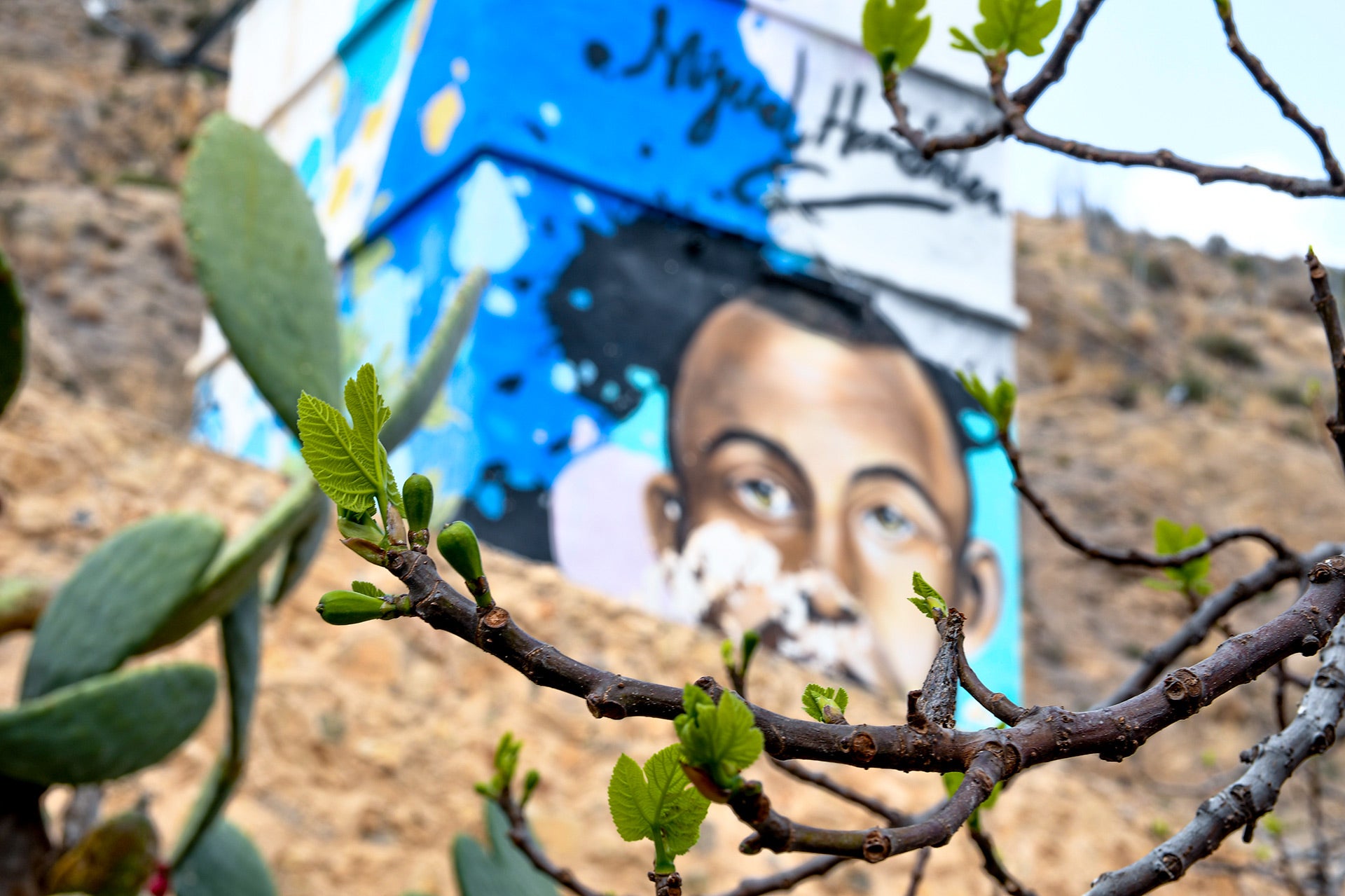 Turismo Orihuela da a conocer las rutas de noviembre con Miguel Hernández, la huerta, costa y la colonia británica como protagonistas Turismo Orihuela da a conocer las rutas de noviembre con Miguel Hernández, la huerta, costa y la colonia británica como protagonistas