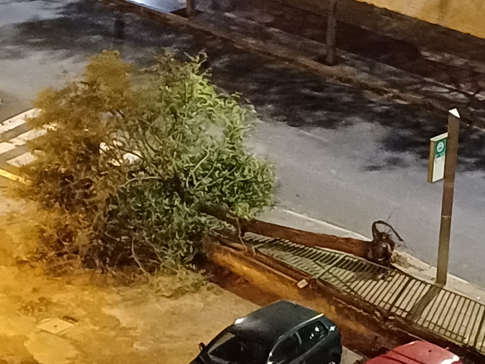 Noticias de Córdoba mediodía 23/10/2023 Noticias de Córdoba mediodía 23/10/2023