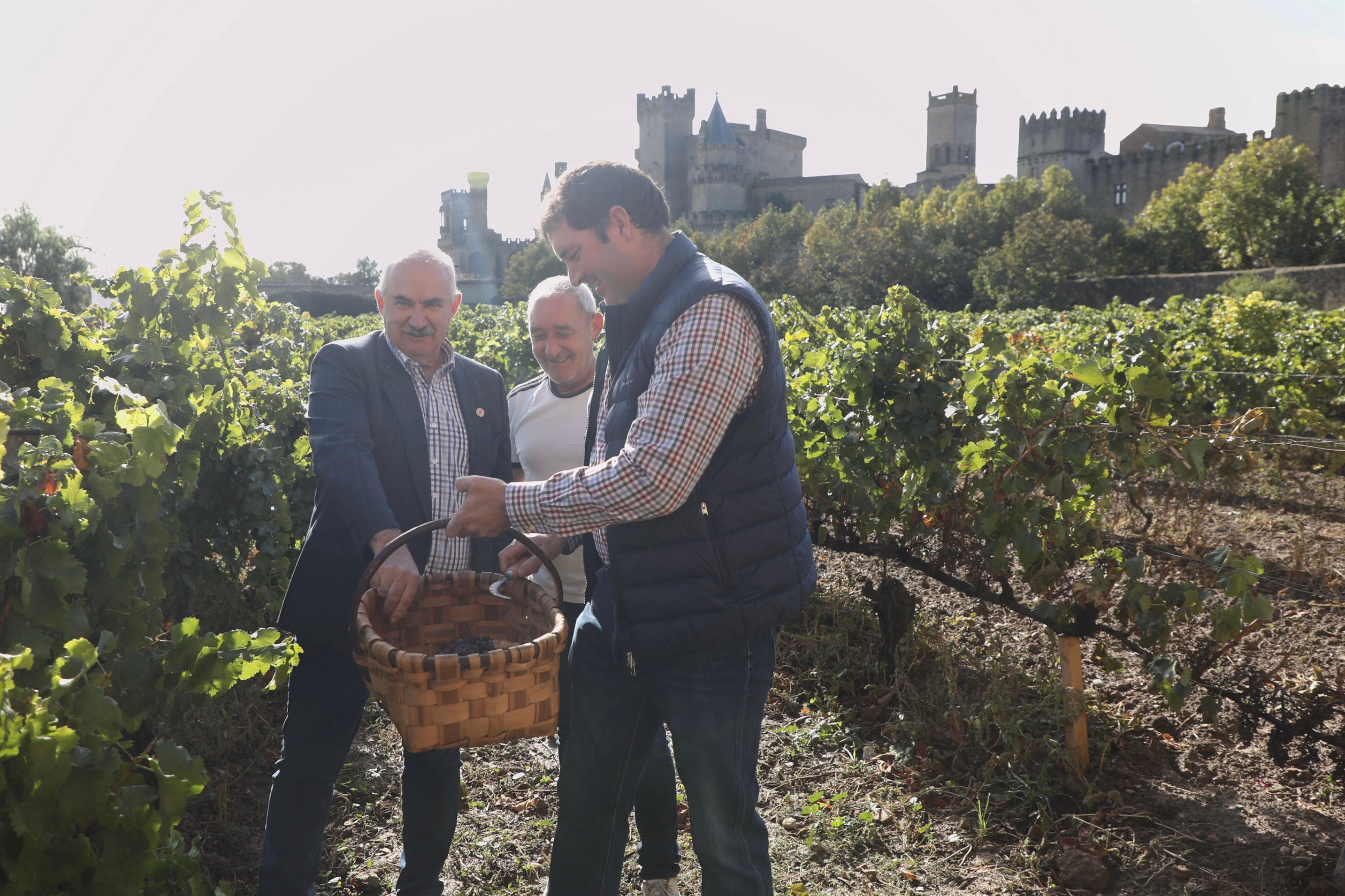 David Palacios: "El precio del vino de la D.O. Navarra apenas ha subido" David Palacios: "El precio del vino de la D.O. Navarra apenas ha subido"