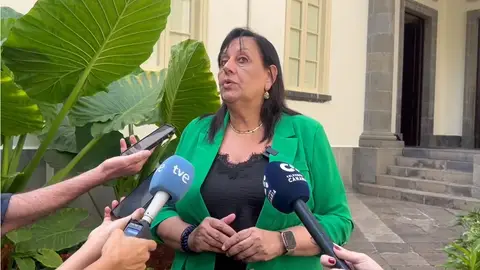 María Farnés | Fiscal Superior de Canarias María Farnés | Fiscal Superior de Canarias