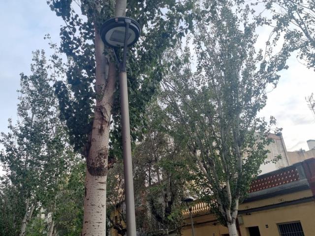 Feina pendent a Vilanova en sanitat, mobilitat i enllumenat Feina pendent a Vilanova en sanitat, mobilitat i enllumenat