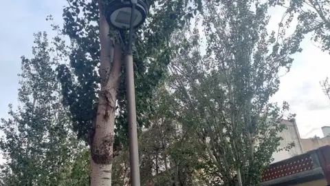 Enllumenat a Vilanova Enllumenat a Vilanova