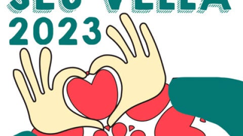 Dia de la Seu Vella 2023