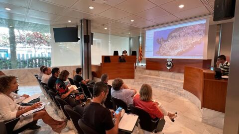El Consell de Ibiza tiene previsto invertir m&aacute;s de 50 millones de euros en v&iacute;as ciclistas y peatonales