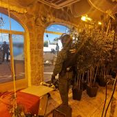 La Guardia Civil desmantela una plantación ilegal de marihuana en Calp
