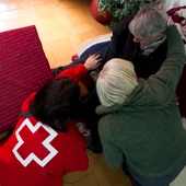 Ayuda a personas mayores Cruz Roja Ayuda a personas mayores Cruz Roja