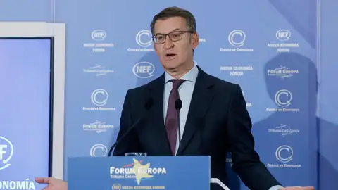 El presidente del PP, Alberto Núñez Feijóo. El presidente del PP, Alberto Núñez Feijóo.