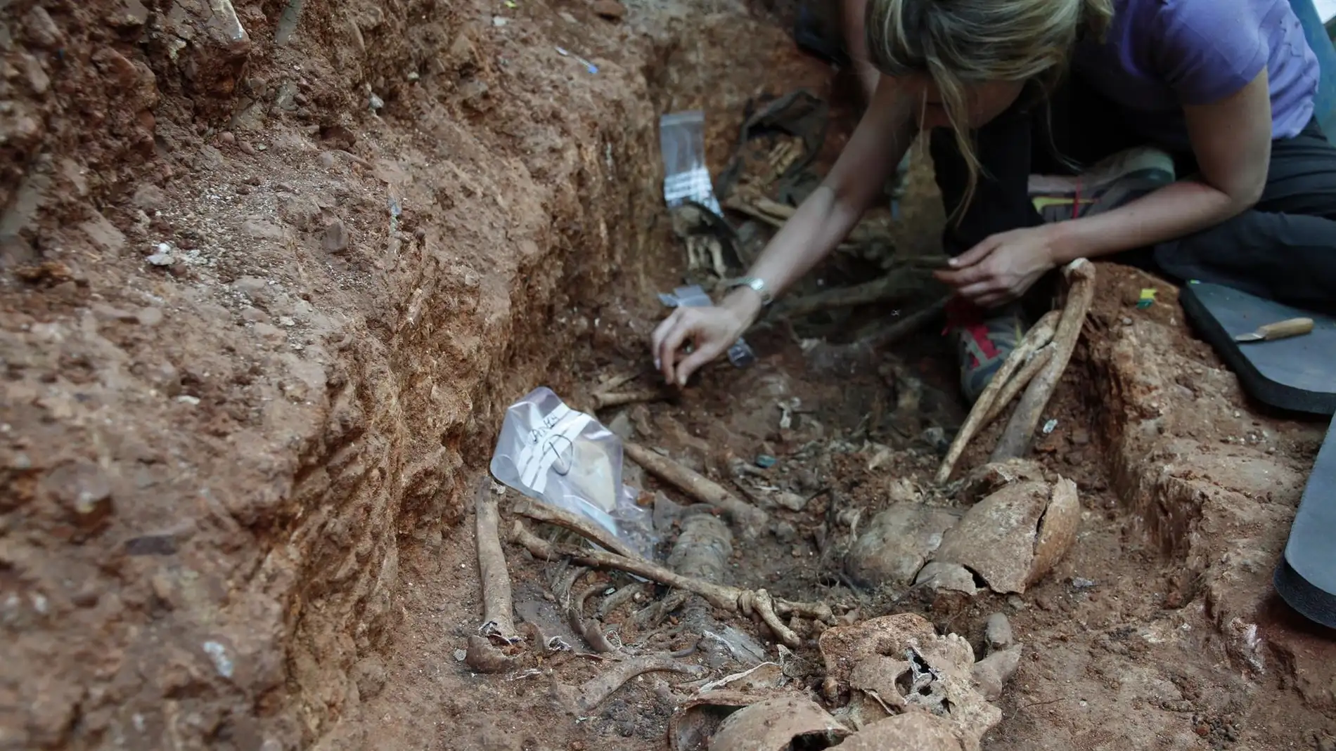 Gobierno regional apoya la exhumación de víctimas de la Guerra Civil y de la Dictadura 