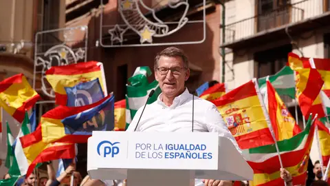 El líder del PP, Alberto Núñez Feijóo, durante un acto en Málaga El líder del PP, Alberto Núñez Feijóo, durante un acto en Málaga