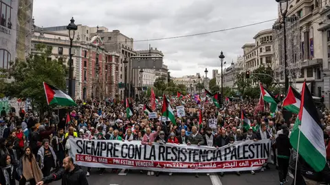 Manifestación en Madrid a favor de Palestina Manifestación en Madrid a favor de Palestina