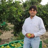 La agricultura de la Vega Baja afronta un otoño desalentador a la espera de la lluvia y el frío 
