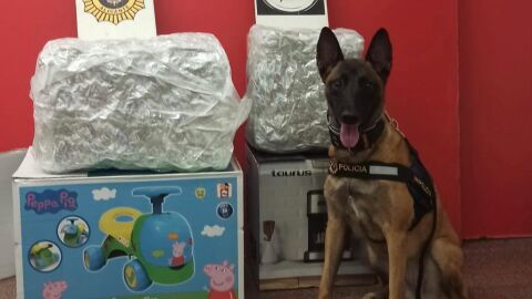 kata posa junto a las cajas que contenían la droga 