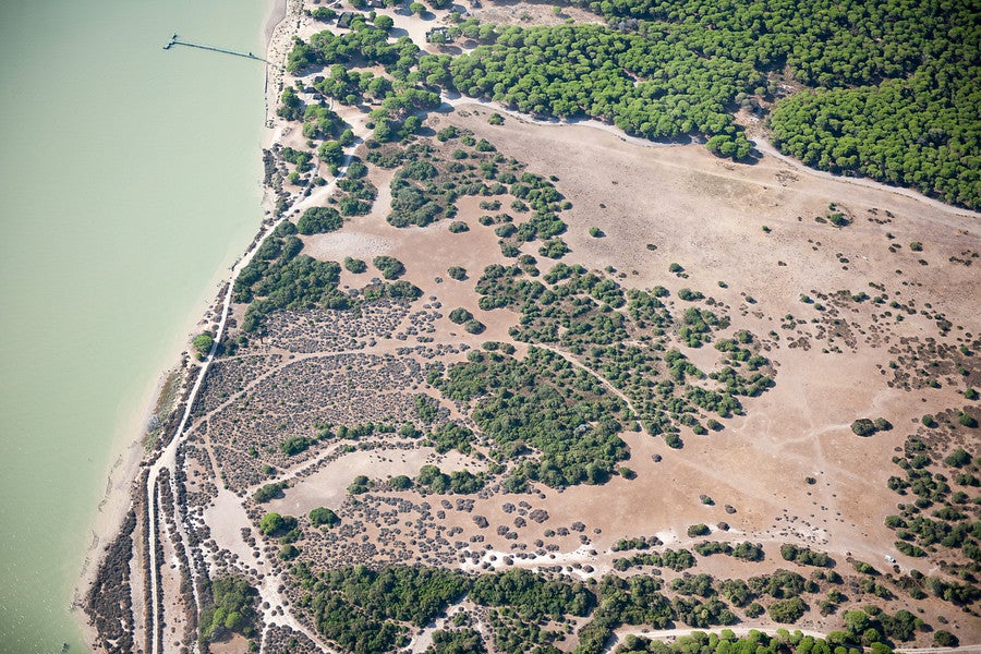 Por Andalucía registra un proyecto de Ley para dotar a Doñana de personalidad propia Por Andalucía registra un proyecto de Ley para dotar a Doñana de personalidad propia