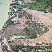 Por Andalucía registra un proyecto de Ley para dotar a Doñana de personalidad propia Por Andalucía registra un proyecto de Ley para dotar a Doñana de personalidad propia