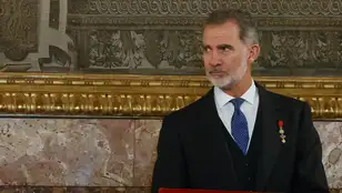 El rey Felipe VI en el momento de pronunciar su discurso