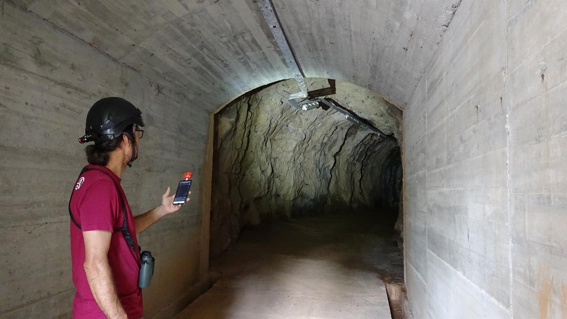 Endesa lleva a seis plantas solares de Extremadura un programa pionero para conocer el movimiento de los murciélagos Endesa lleva a seis plantas solares de Extremadura un programa pionero para conocer el movimiento de los murciélagos