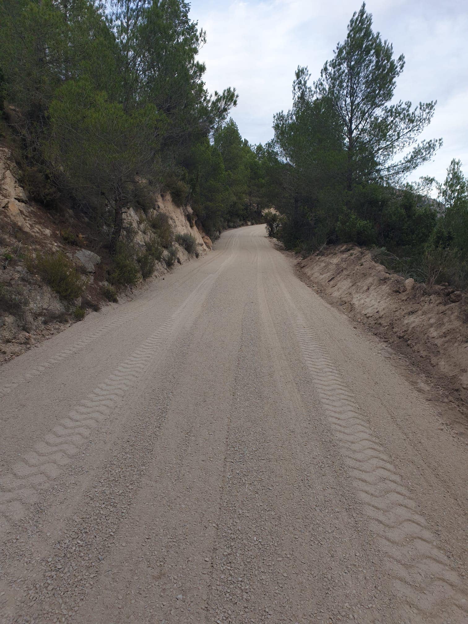 Sella continúa con el arreglo de caminos, esta vez con las del Camí de la Real Sella continúa con el arreglo de caminos, esta vez con las del Camí de la Real