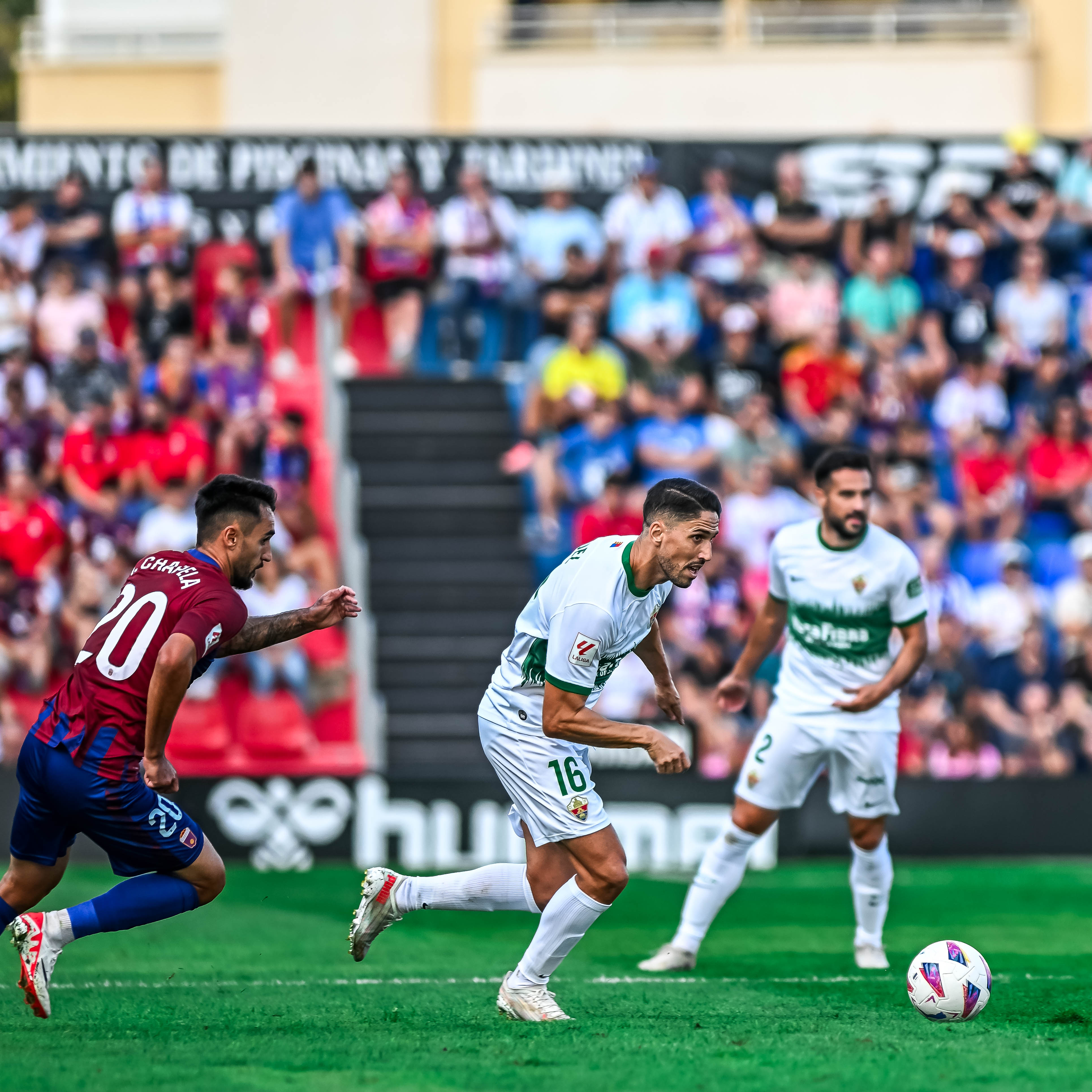 Elche: Fidel tiene que frenar Elche: Fidel tiene que frenar