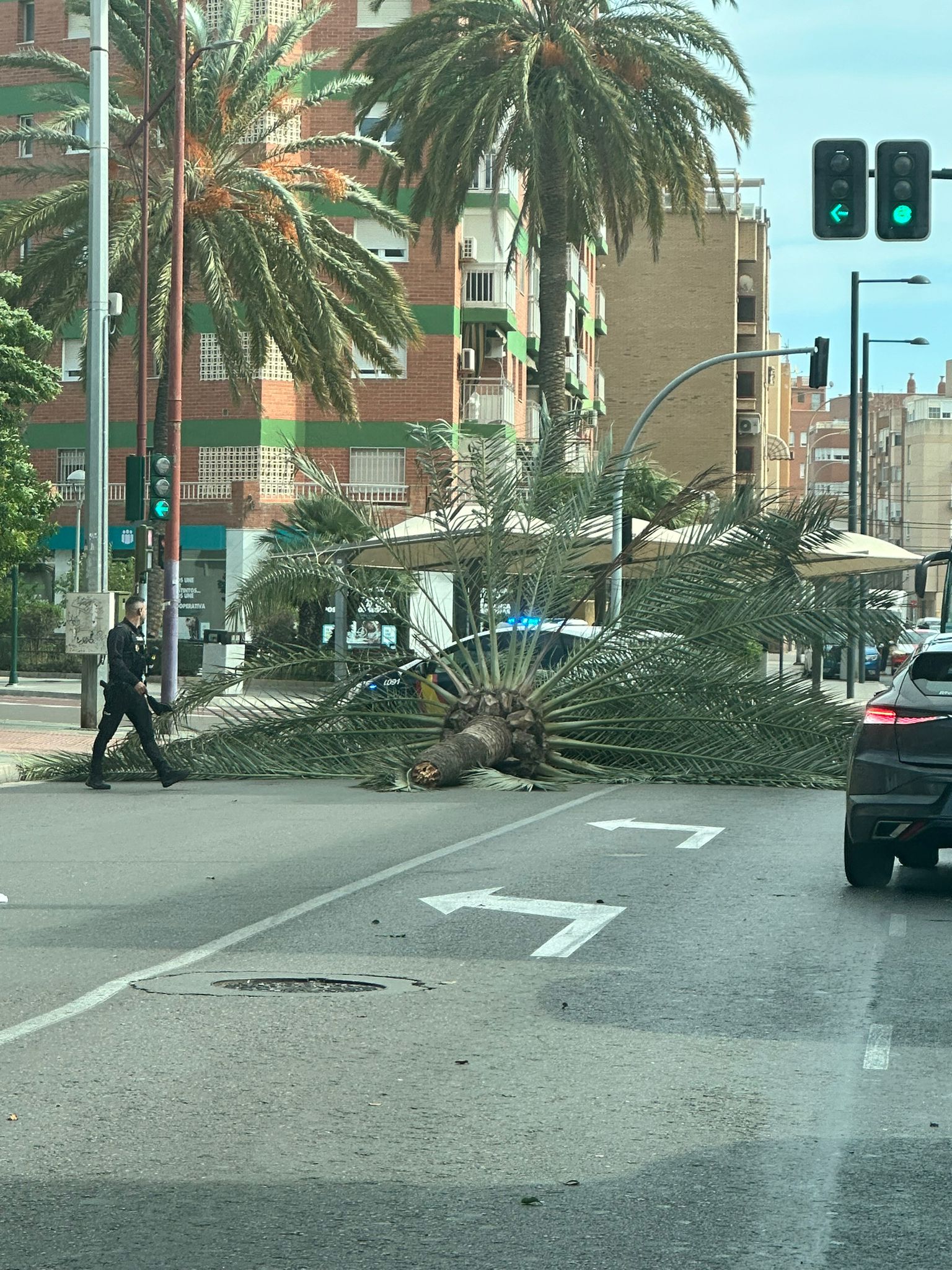 Borrasca Ciarán: seis heridos en Almería y rachas de 150 kilómetros por hora Borrasca Ciarán: seis heridos en Almería y rachas de 150 kilómetros por hora