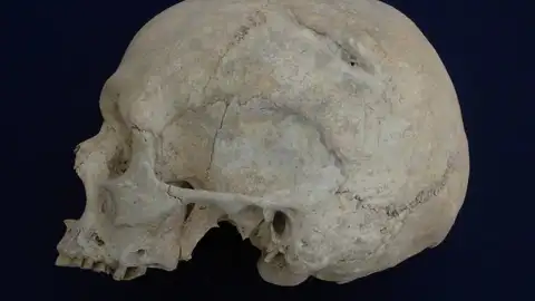 https:www.agenciasinc.es/Noticias/El-punto-mas-algido-de-la-violencia-entre-humanos-habria-ocurrido-hace-unos-6.000-anos#:~:text=Evoluci%C3%B3n-,El%20punto%20m%C3%A1s%20%C3%A1lgido%20de%20la%20violencia%20entre%20humanos%20habr%C3%ADa,con%20los%20primeros%20protoestados%20centralizados. https:www.agenciasinc.es/Noticias/El-punto-mas-algido-de-la-violencia-entre-humanos-habria-ocurrido-hace-unos-6.000-anos#:~:text=Evoluci%C3%B3n-,El%20punto%20m%C3%A1s%20%C3%A1lgido%20de%20la%20violencia%20entre%20humanos%20habr%C3%ADa,con%20los%20primeros%20protoestados%20centralizados.