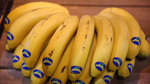 Plátano de Canarias Plátano de Canarias recupera la fidelidad de los consumidores y logra incrementar su comercialización