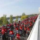 Día Bicicleta