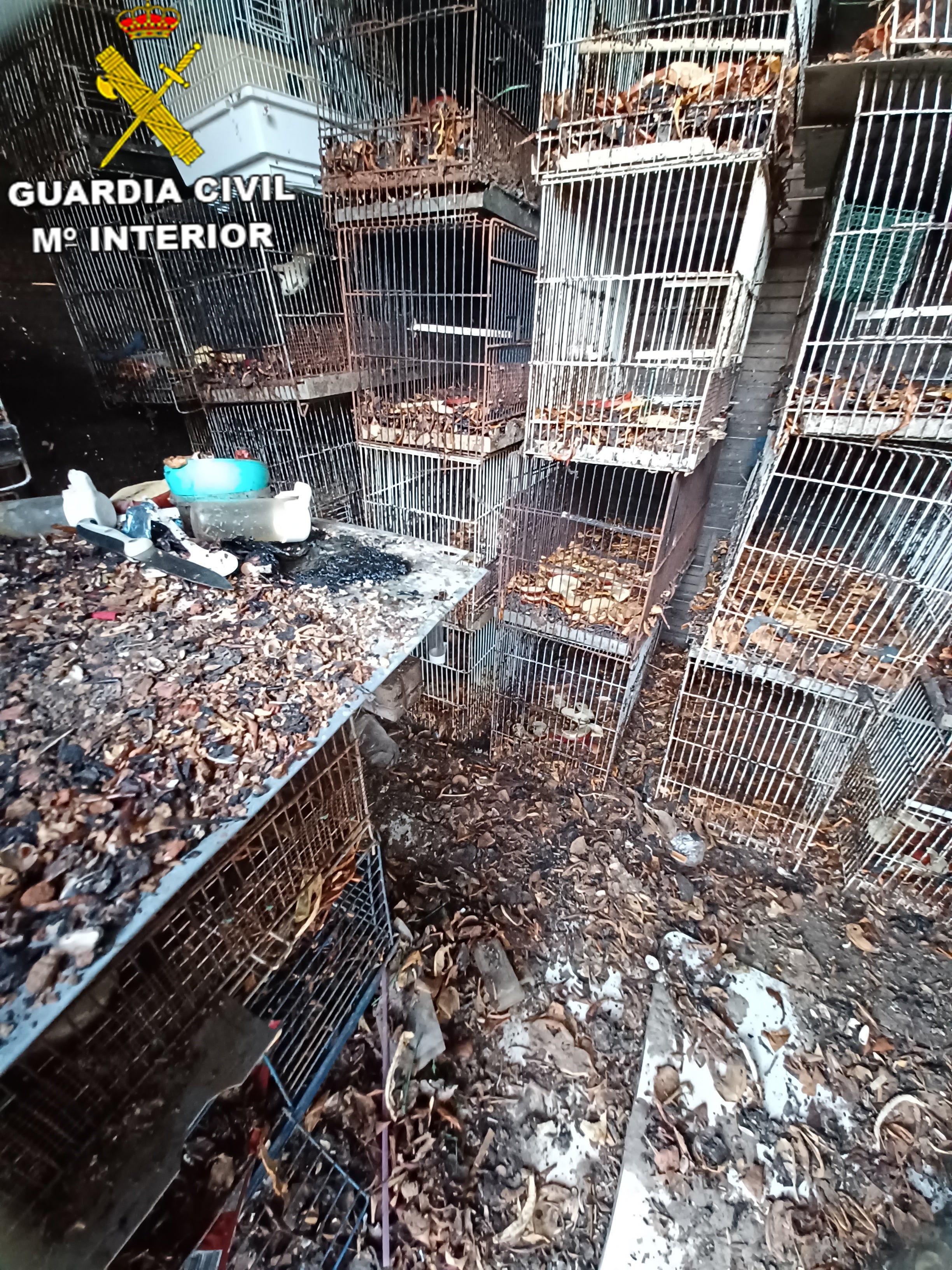La Guardia Civil investiga a una persona en Jerez por un delito de maltrato animal con resultado de muerte La Guardia Civil investiga a una persona en Jerez por un delito de maltrato animal con resultado de muerte