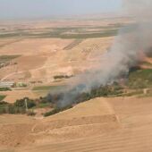 La región registra 1.300 hectáreas quemadas en 2023 frente a las 14.000 de 2022