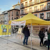 Semana de la Ciencia en la plaza de Zocodover Semana de la Ciencia en la plaza de Zocodover