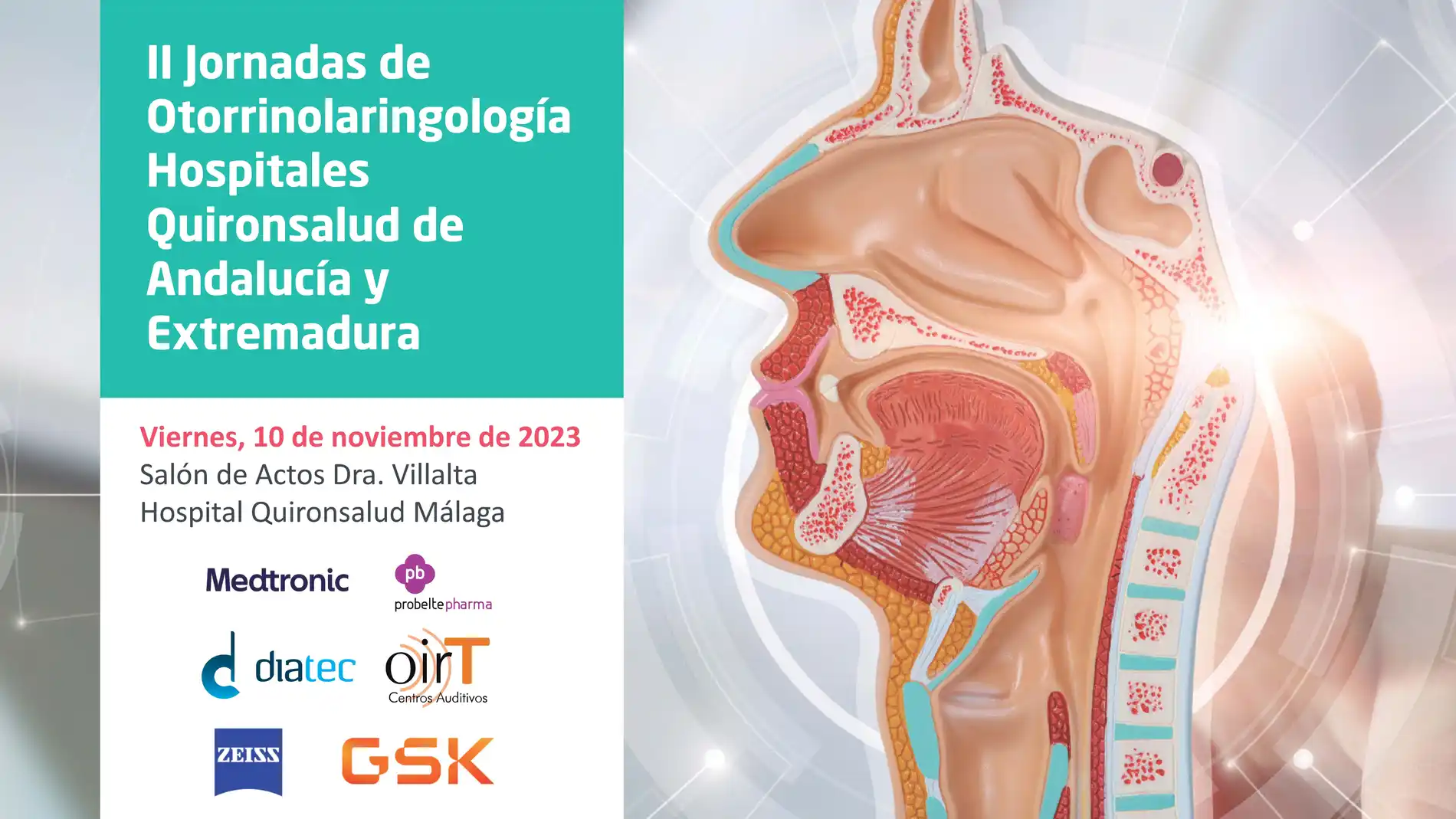 Más de 30 especialistas de otorrinolaringología de Quirónsalud se reúnen en una jornada científica en Málaga