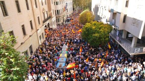 Palma se suma a las protestas contra la amnist&iacute;a con m&aacute;s de 10.000 manifestantes