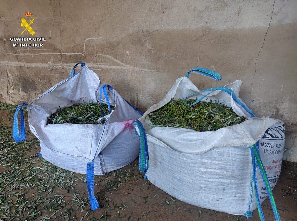 Detienen en Malagón a tres personas tras el robo de 1.200 kilos de aceituna Detienen en Malagón a tres personas tras el robo de 1.200 kilos de aceituna