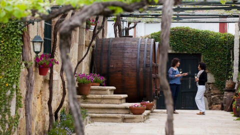 Enoturismo en una bodega