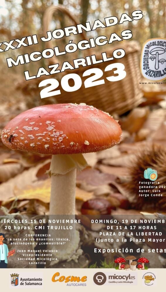Cartel de las jornadas micologicas