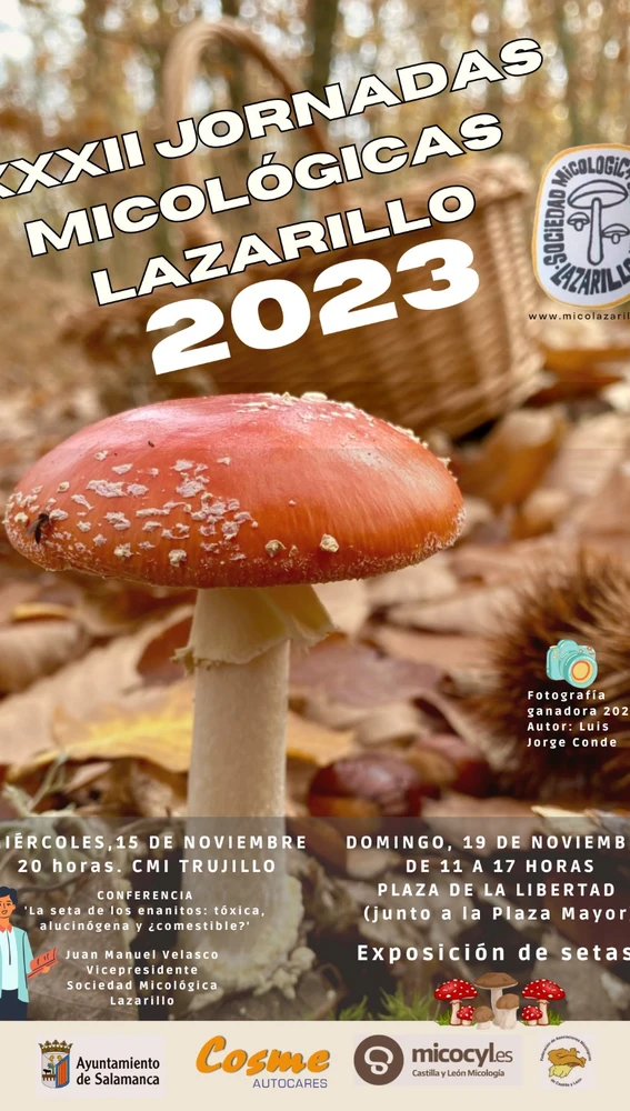 Cartel de las jornadas micologicas Cartel de las jornadas micologicas
