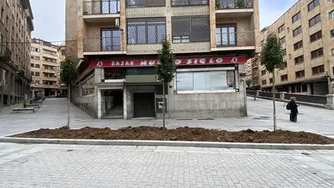 Tres árboles plantados en la mañana de este martes en la calle de Correhuela Tres árboles plantados en la mañana de este martes en la calle de Correhuela