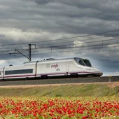 Imagen de un tren AVE de Renfe Imagen de un tren AVE de Renfe