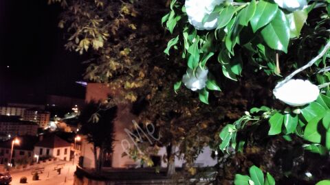 Buen martes, con 19&ordm;C llamativos 