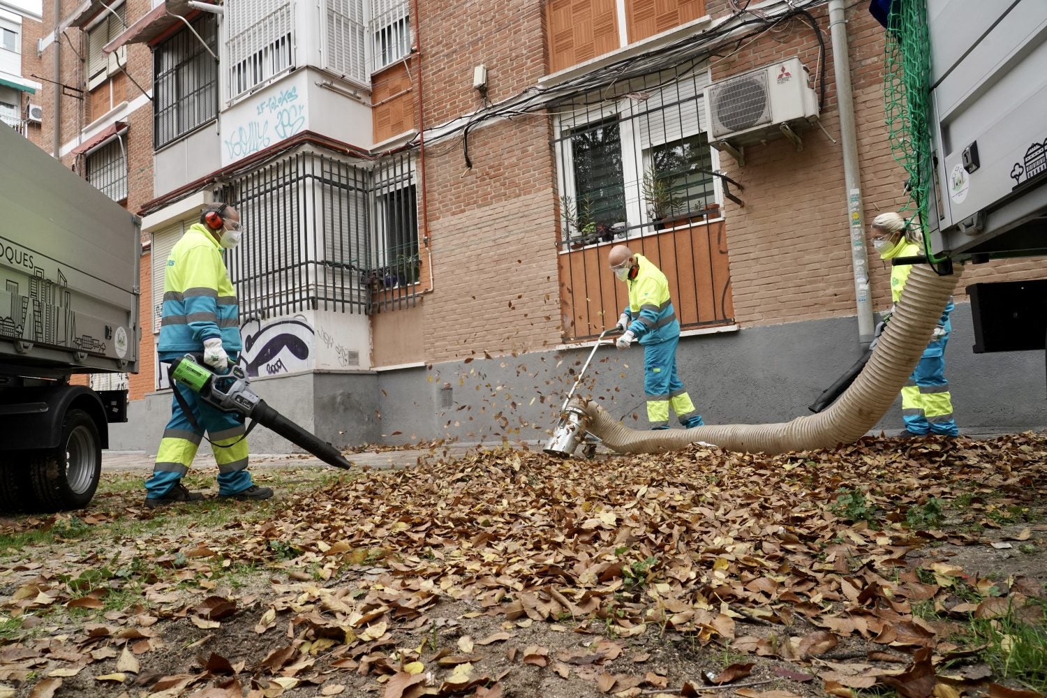 Comienza la campaña de recogida de la hoja en Madrid Comienza la campaña de recogida de la hoja en Madrid