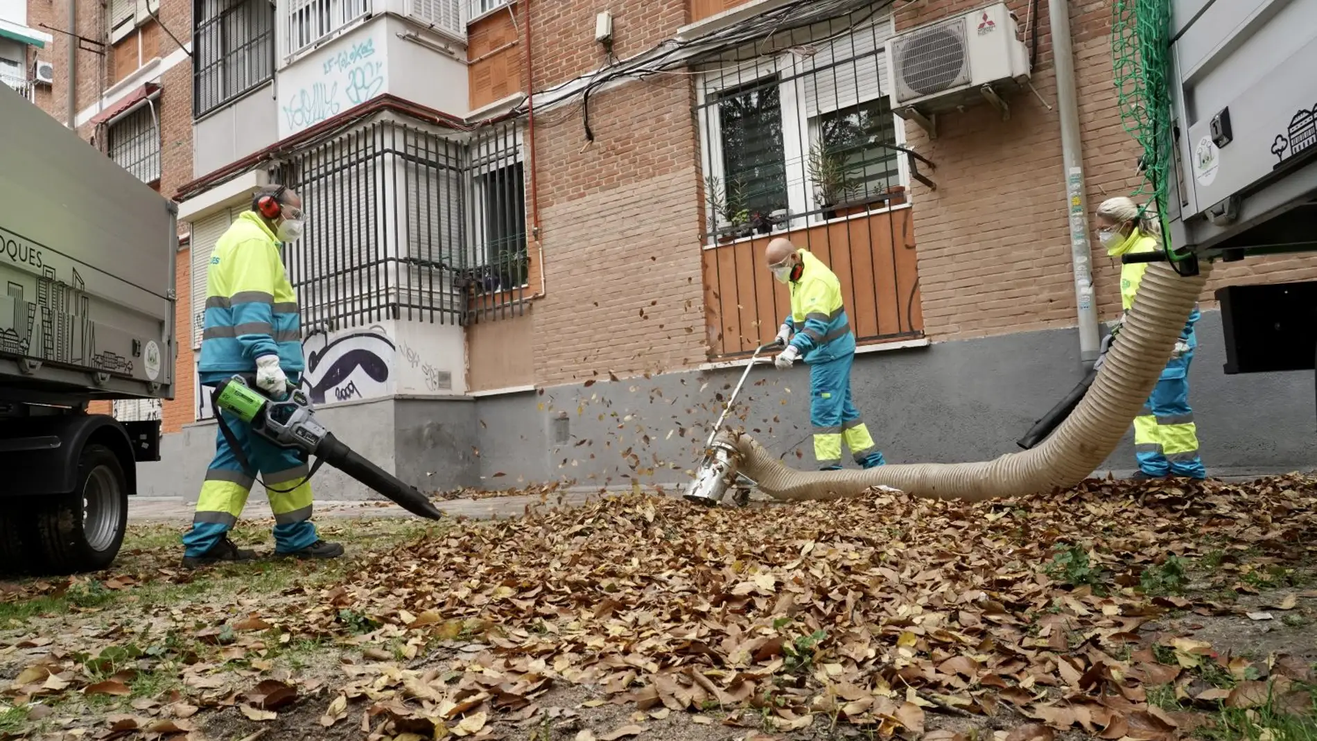 Comienza la campaña de recogida de la hoja en Madrid