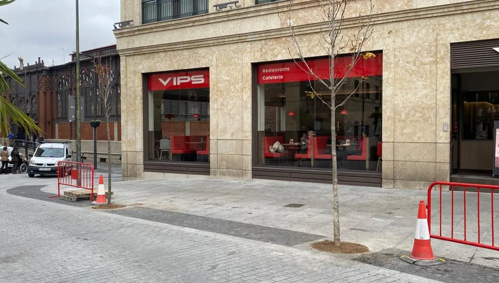 Nuevos árboles en la plaza del poeta Iglesias Nuevos árboles en la plaza del poeta Iglesias