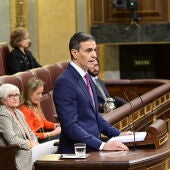 Pedro Sánchez durante su discurso en el Congreso de los Diputados