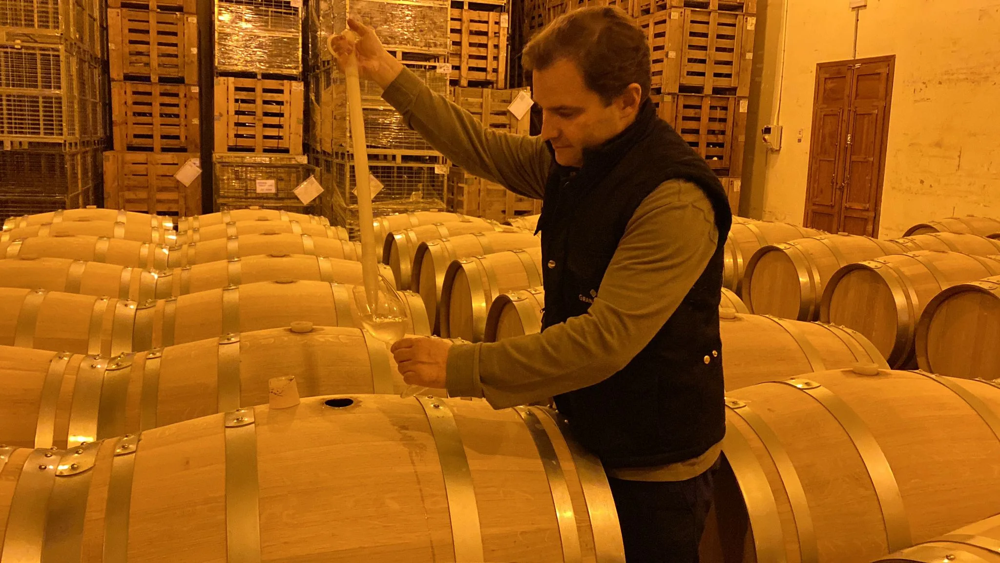 Javier Garbayo, enólogo Cata de vino Gran Feudo