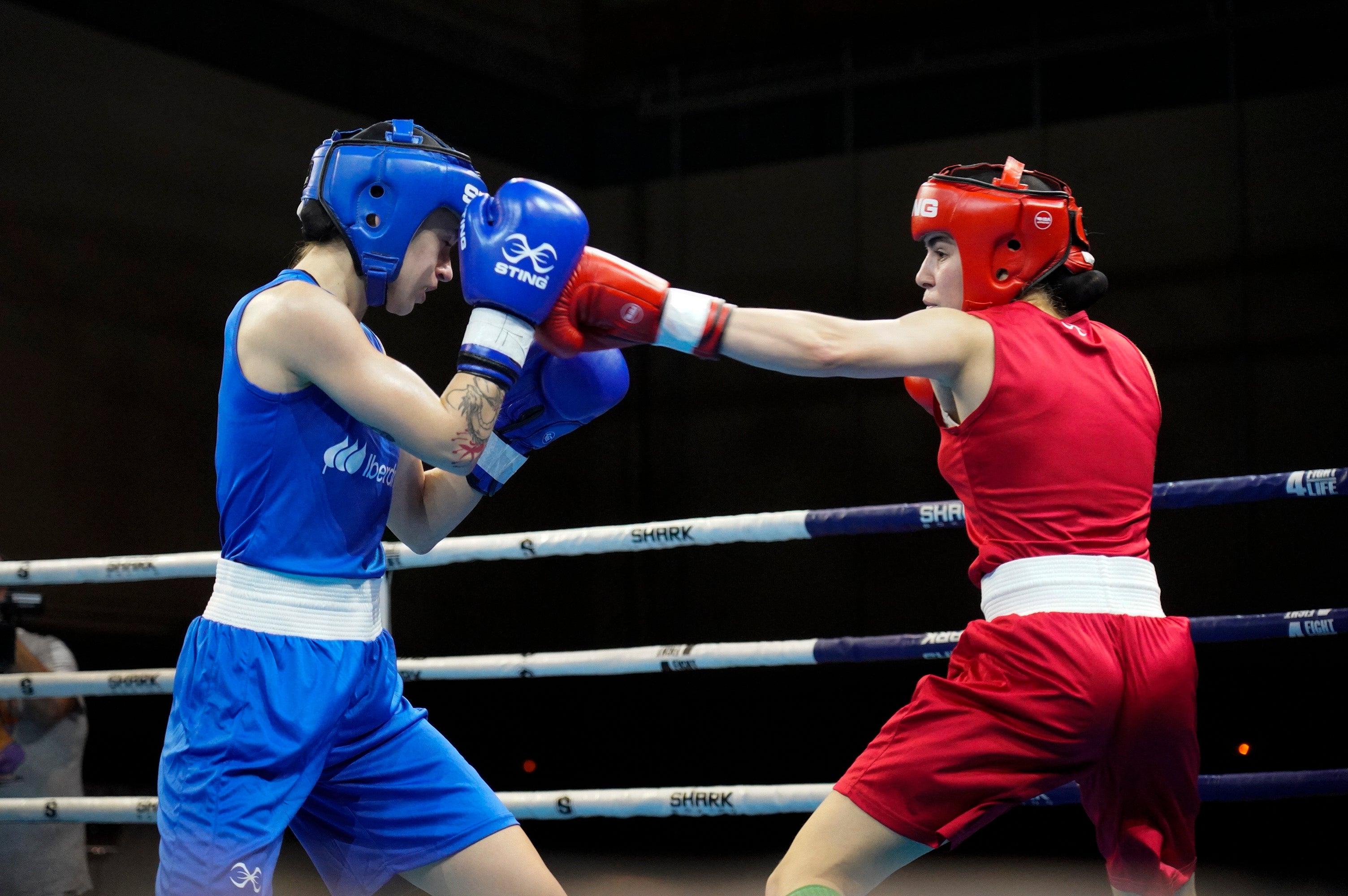 Arranca en La Nucía el Boxam Internacional Élite Arranca en La Nucía el Boxam Internacional Élite