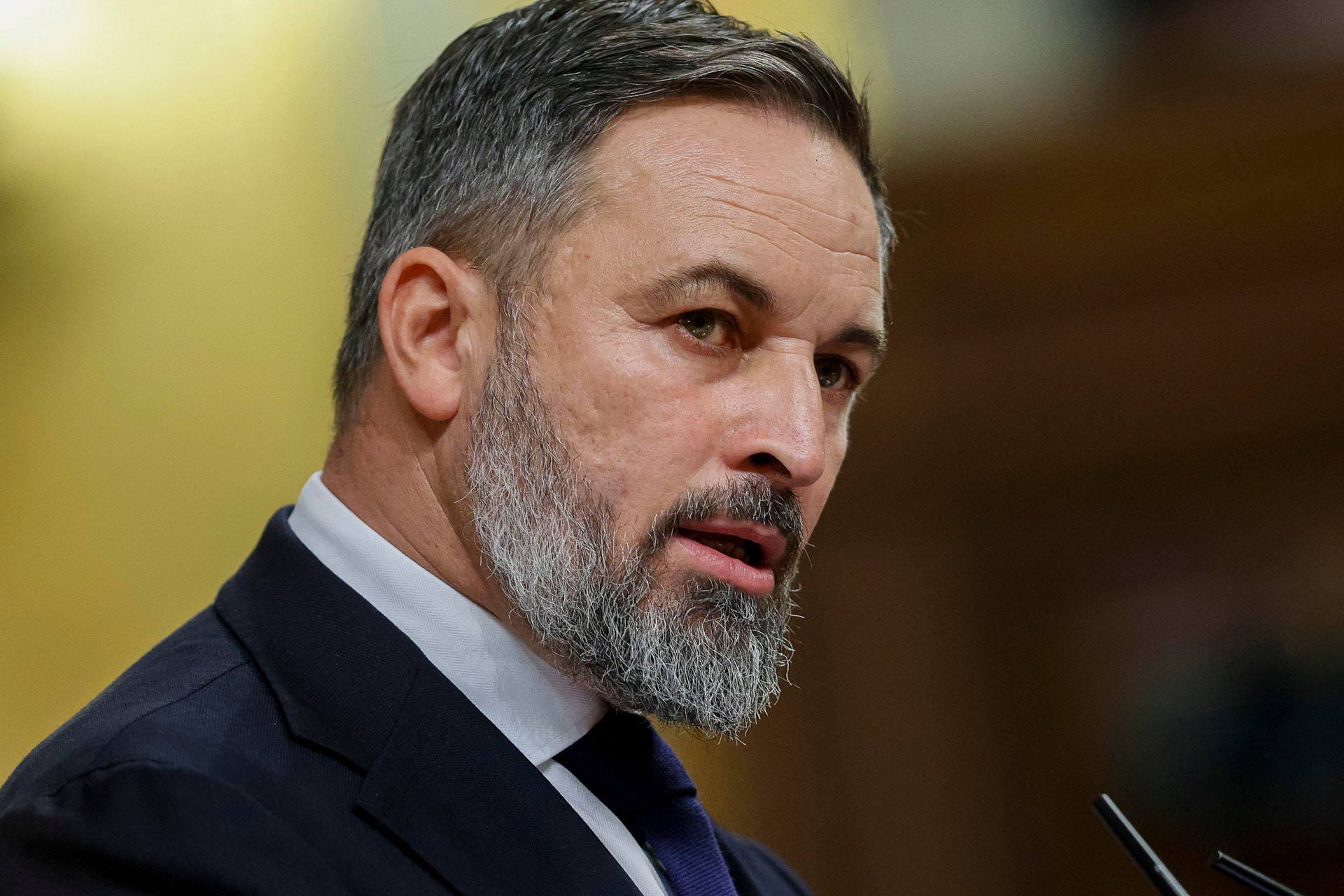 Armengol abronca a Abascal tras acusar a Sánchez de "perpetrar un golpe de Estado" Armengol abronca a Abascal tras acusar a Sánchez de "perpetrar un golpe de Estado"