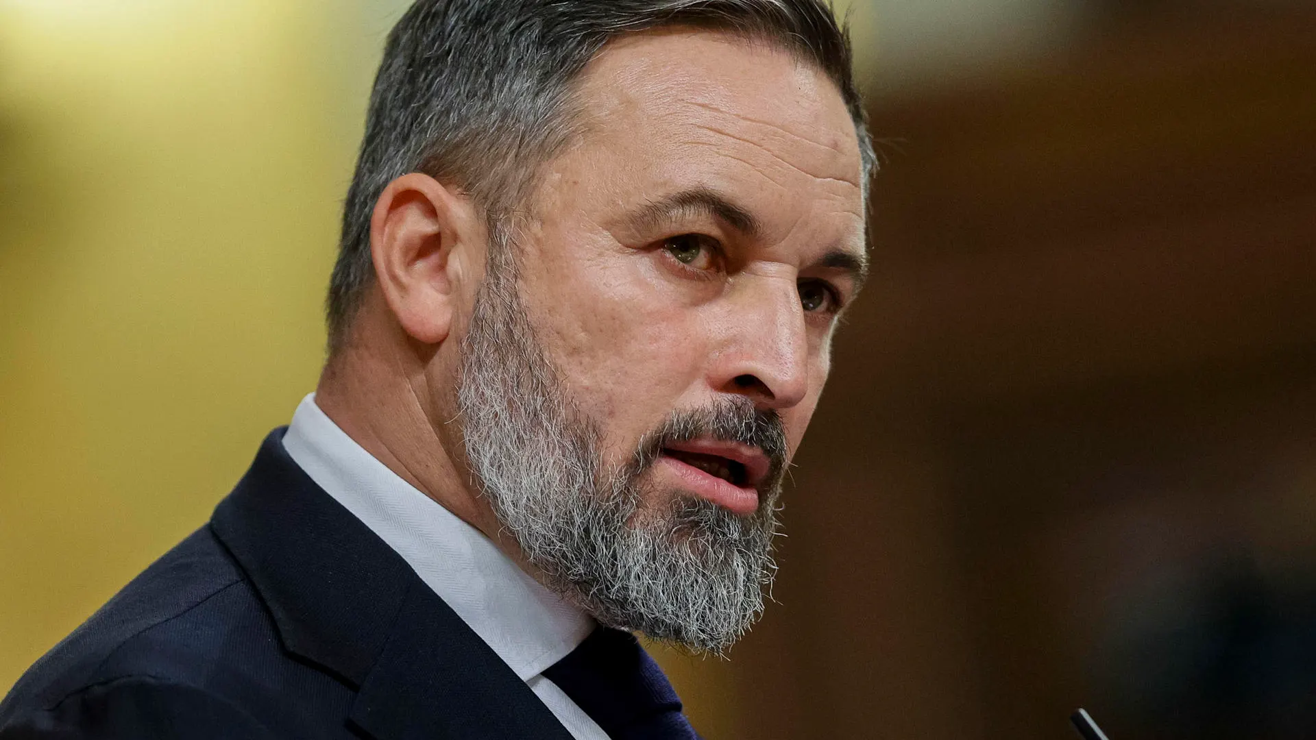 Santiago Abascal en el Congreso de los Diputados en el primer día del debate de investidura de Sánchez Santiago Abascal en el Congreso de los Diputados en el primer día del debate de investidura de Sánchez