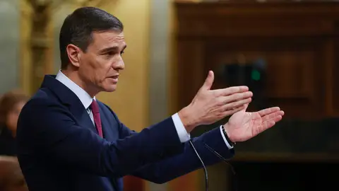 El candidato del PSOE, Pedro Sánchez, durante el debate de su investidura El candidato del PSOE, Pedro Sánchez, durante el debate de su investidura/ EFE