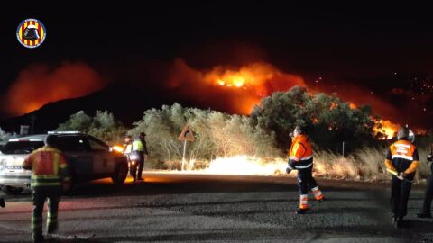 Incendio forestal en Montitxelvo (Valencia)