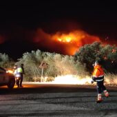 Incendio forestal en Montitxelvo (Valencia)